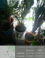 VFL.RU - ваш фотохостинг