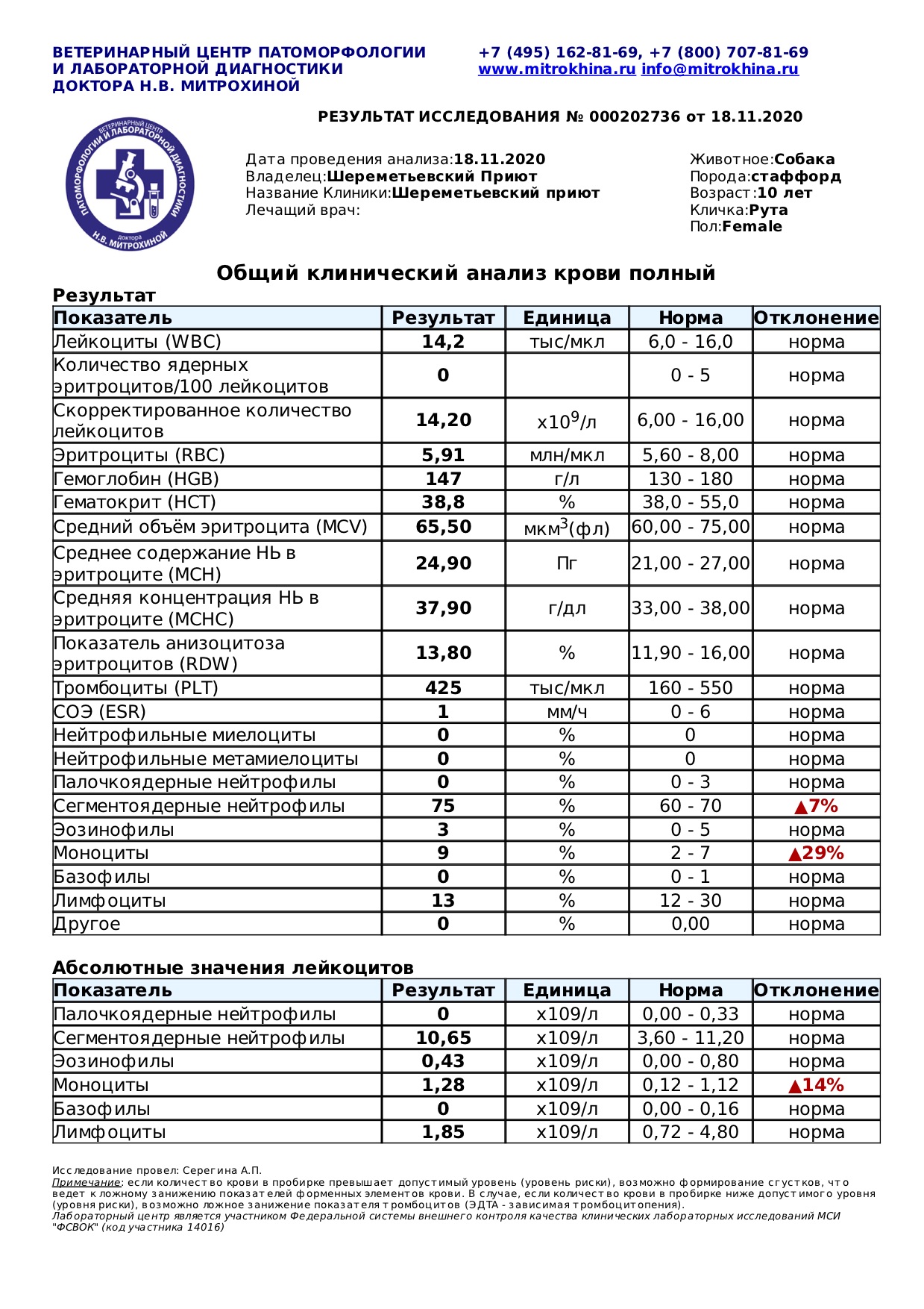 рута