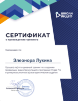 Мой сертификат от Школы видео Радонец Алексея _201121