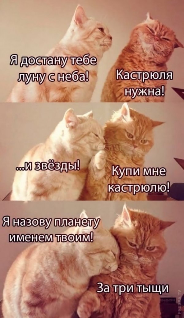 4PGPk32p2v