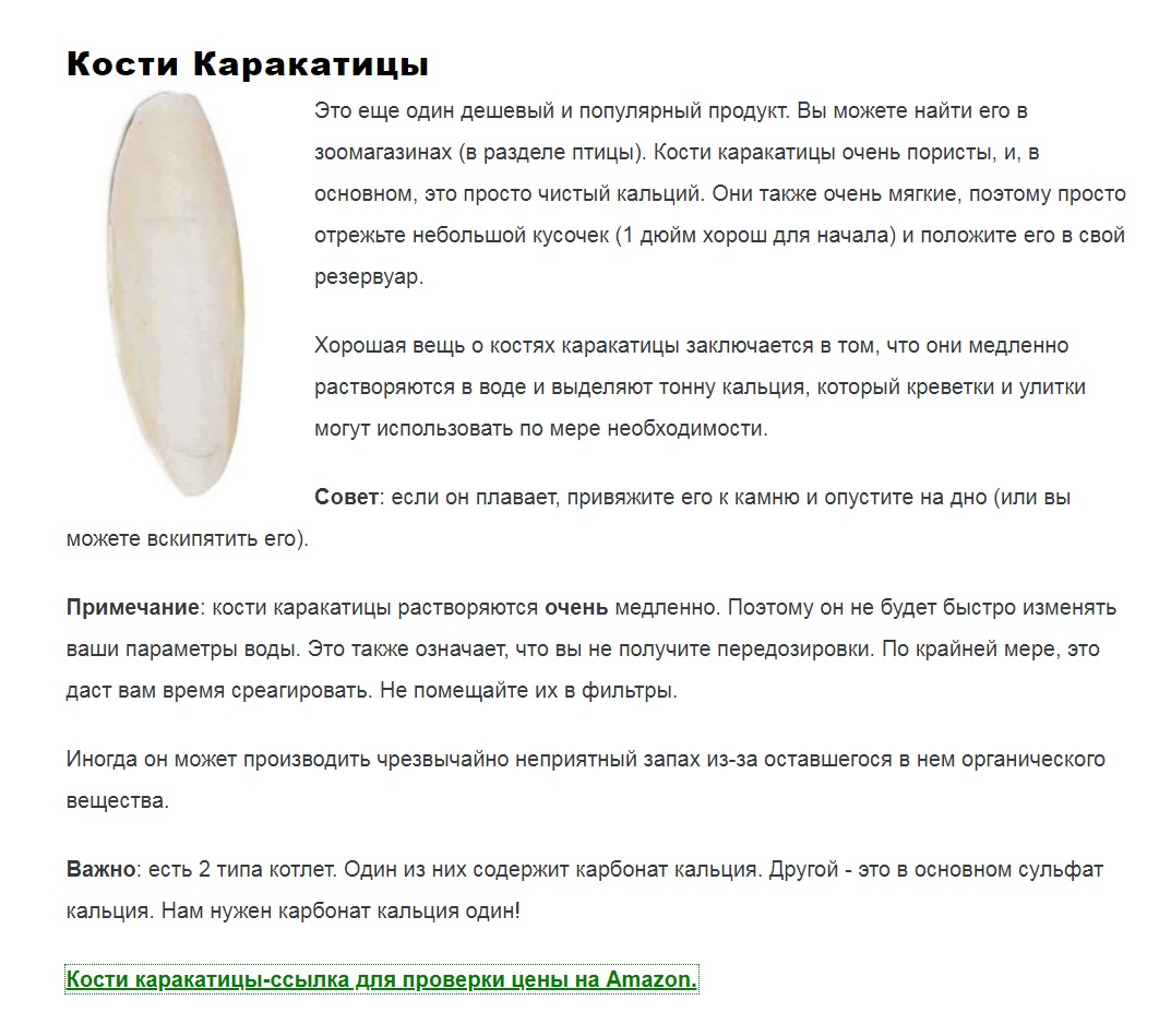 Каракатица