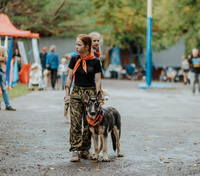 VFL.RU - ваш фотохостинг