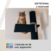 club kogtetochki