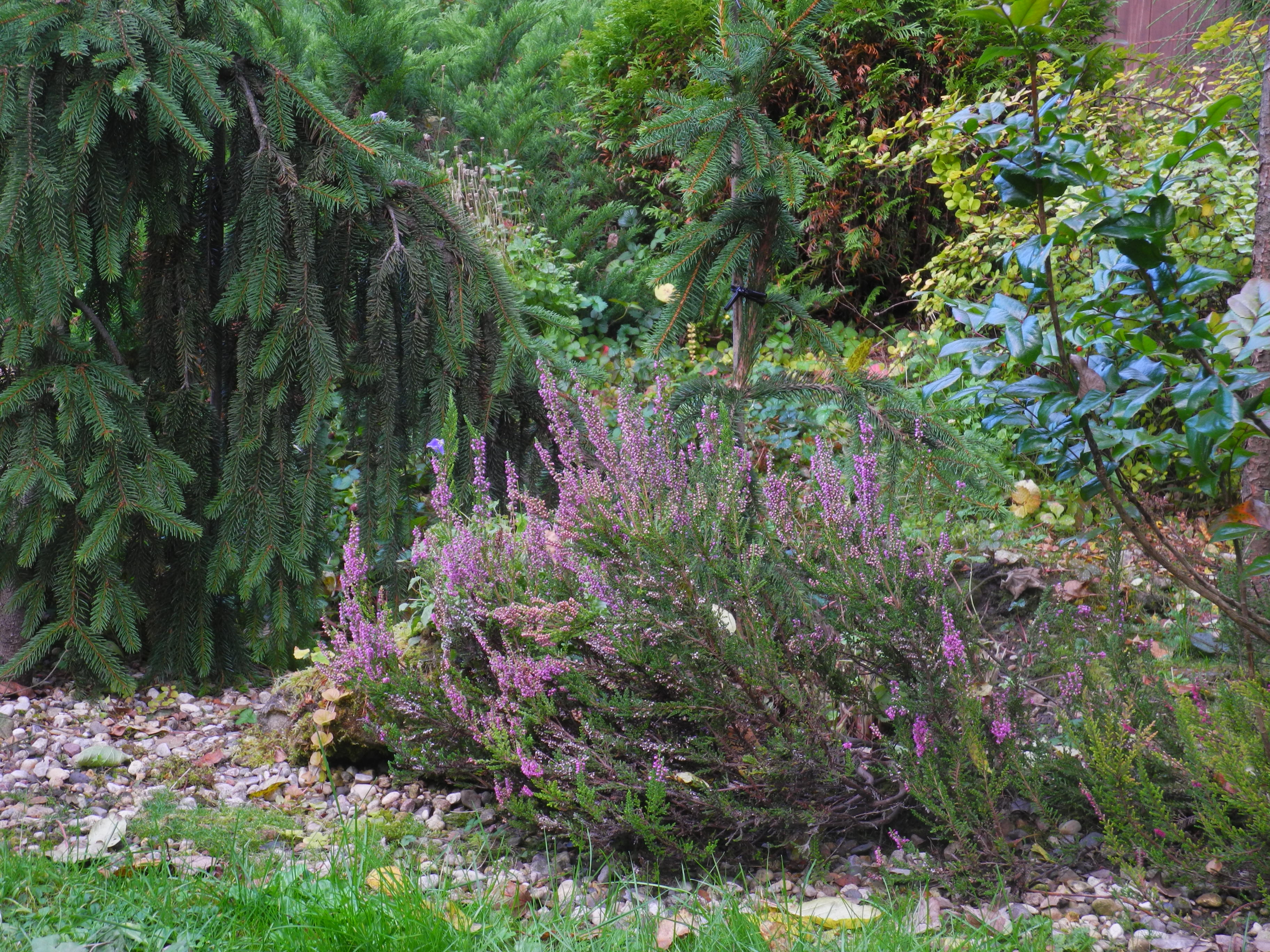 верески 13 г