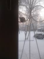 VFL.RU - ваш фотохостинг
