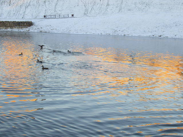 VFL.RU - ваш фотохостинг