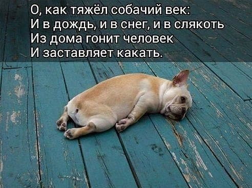 рад2 (2)