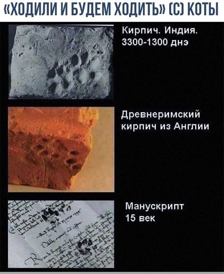 рад5