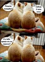 TH8AQQ1nqF