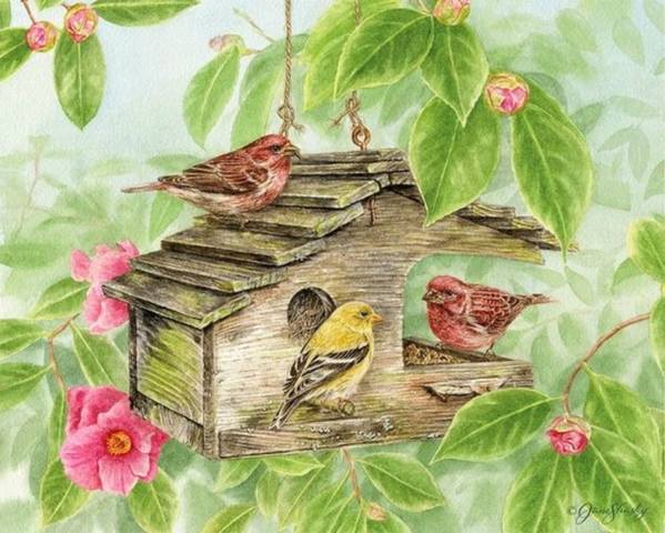 VFL.RU - ваш фотохостинг VFL.RU - ваш фотохостинг