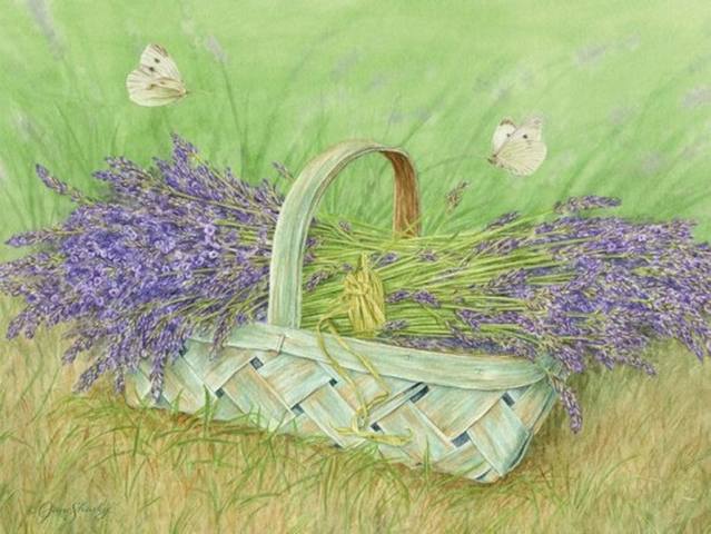 VFL.RU - ваш фотохостинг VFL.RU - ваш фотохостинг