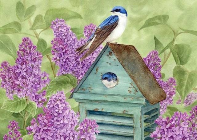 VFL.RU - ваш фотохостинг VFL.RU - ваш фотохостинг