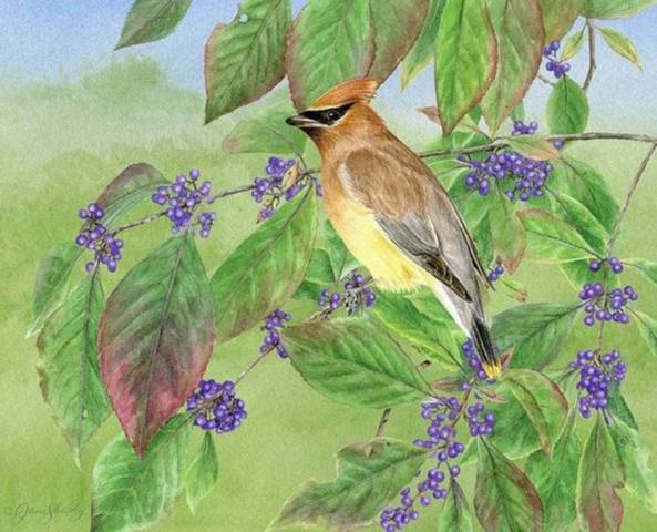 VFL.RU - ваш фотохостинг VFL.RU - ваш фотохостинг