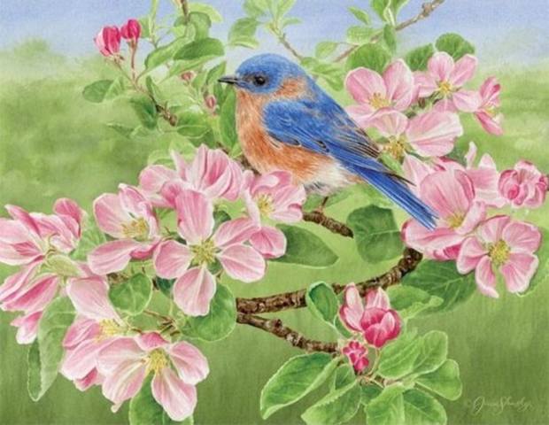 VFL.RU - ваш фотохостинг VFL.RU - ваш фотохостинг