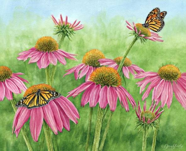 VFL.RU - ваш фотохостинг VFL.RU - ваш фотохостинг