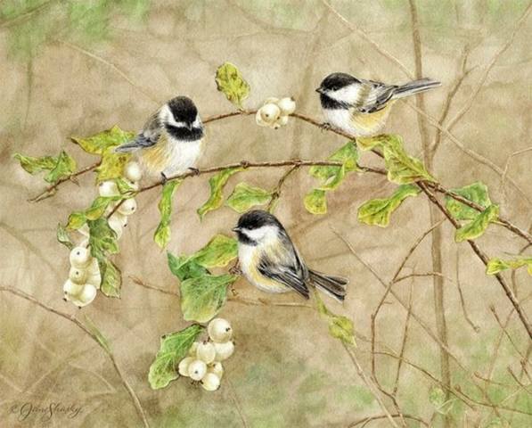 VFL.RU - ваш фотохостинг VFL.RU - ваш фотохостинг