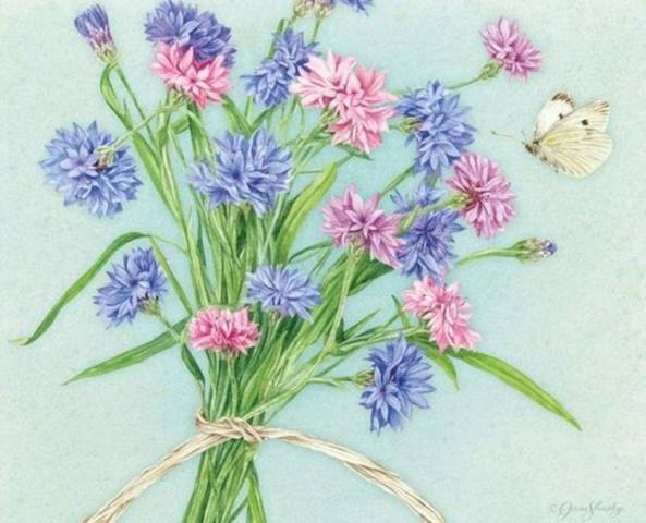 VFL.RU - ваш фотохостинг VFL.RU - ваш фотохостинг