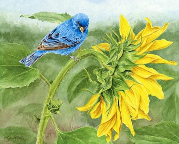 VFL.RU - ваш фотохостинг VFL.RU - ваш фотохостинг