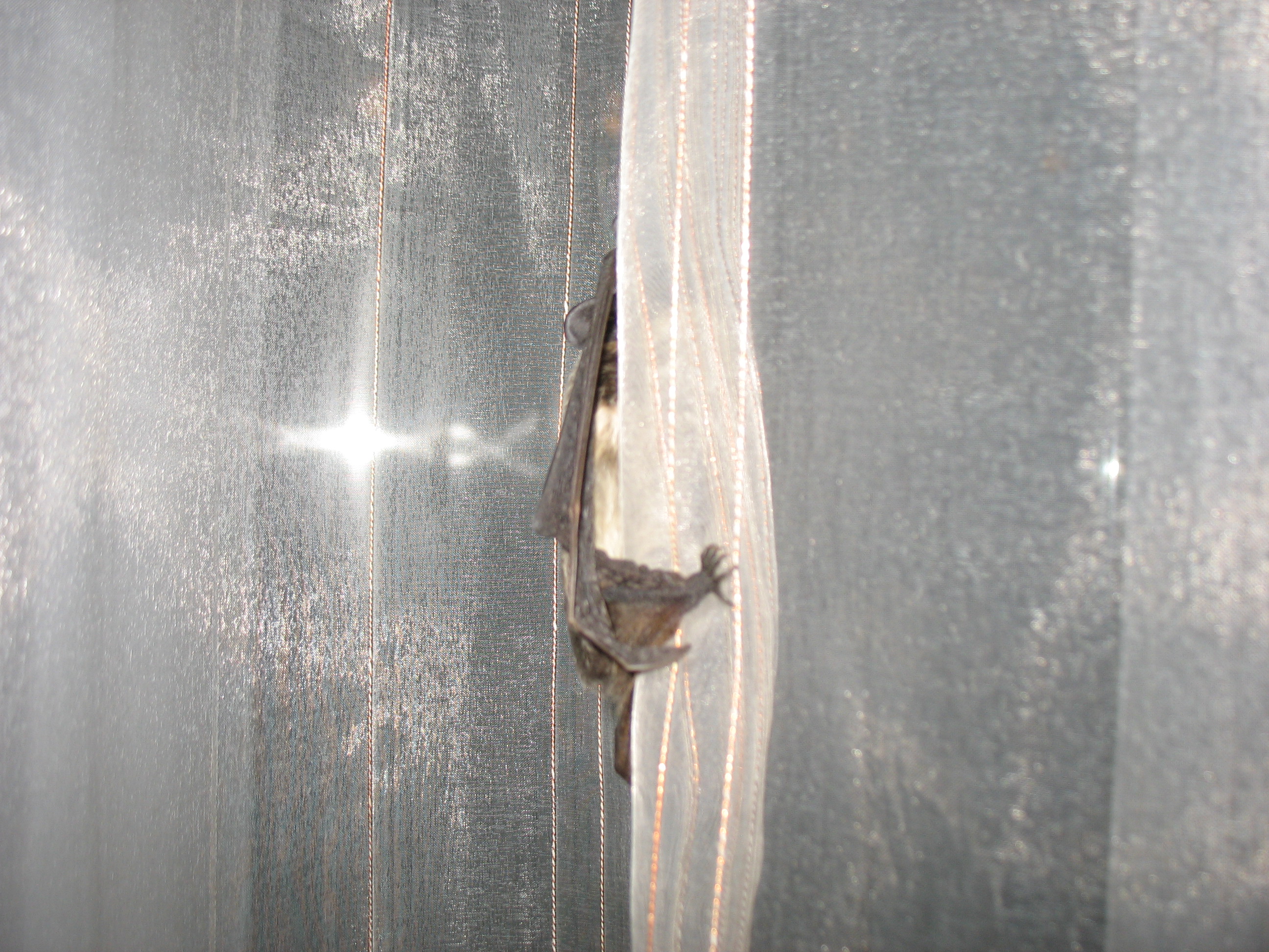 Уфа 08,2013 (328)