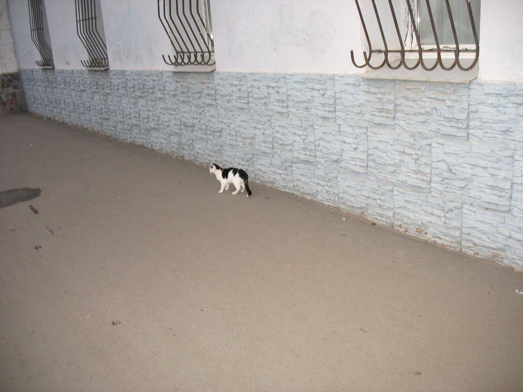 Уфа 08,2013 (353)