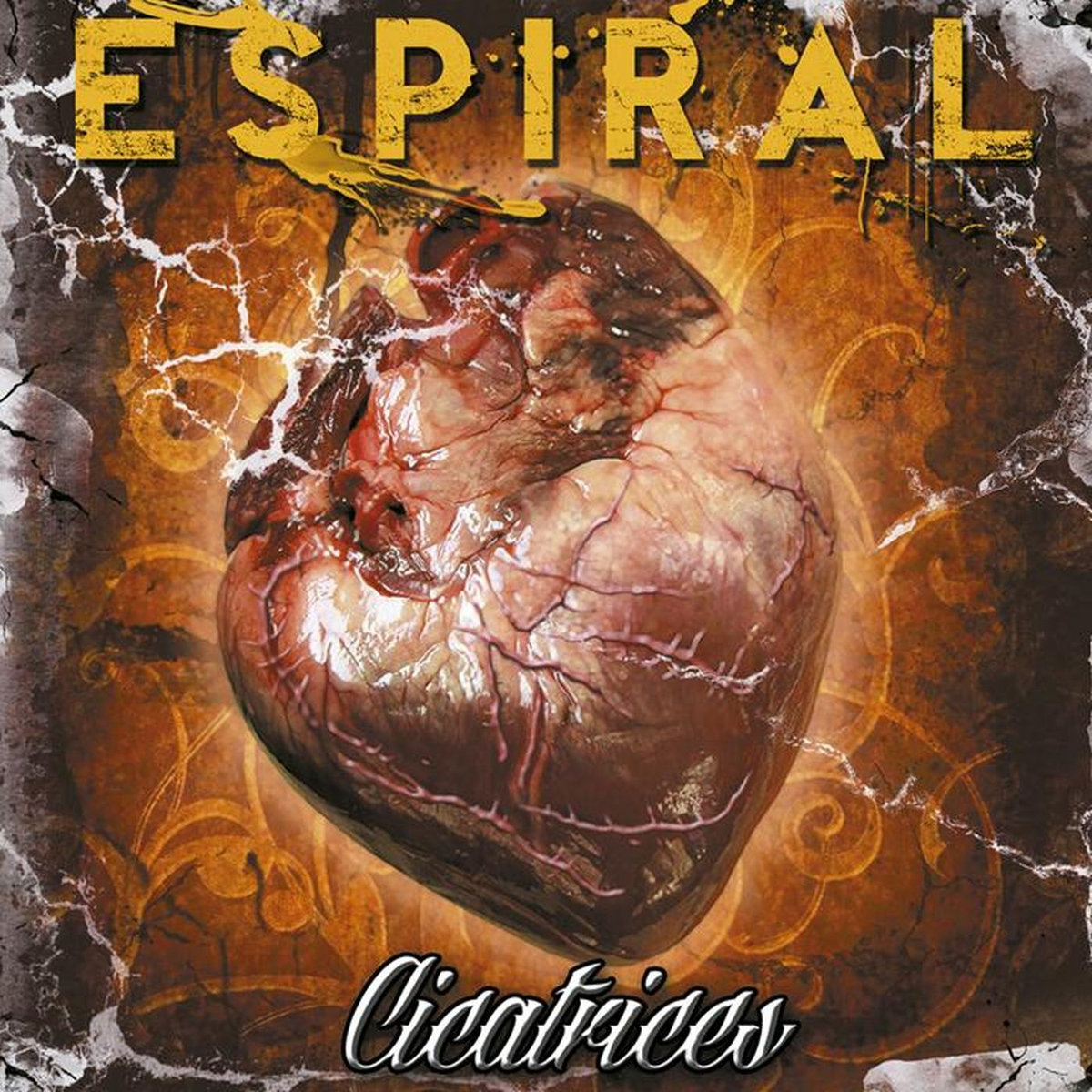 ESPIRAL 2014 - Cicatrices