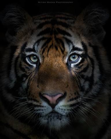 VFL.RU - ��� �����������