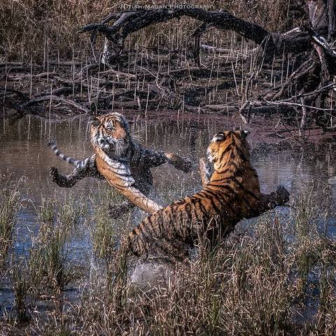 VFL.RU - ��� �����������