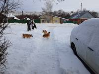 VFL.RU - ваш фотохостинг