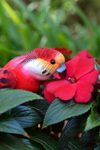 VFL.RU - ��� �����������