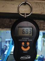 VFL.RU - ваш фотохостинг