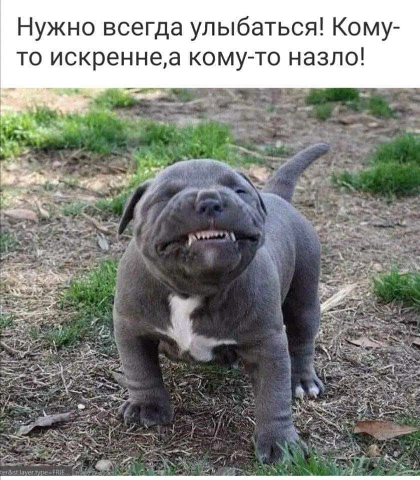 Xqk0Th1WCc