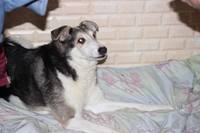 VFL.RU - ваш фотохостинг