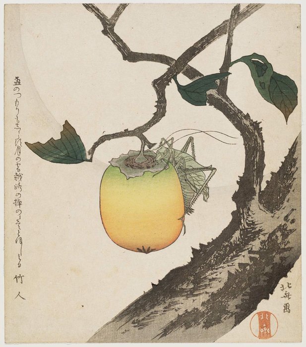 Katsushika Hoki-Grasshopper And Persimmon