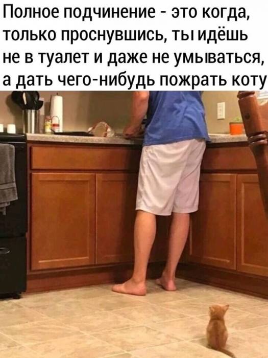 Юмор Юмор