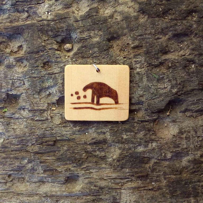Orso-e-q
