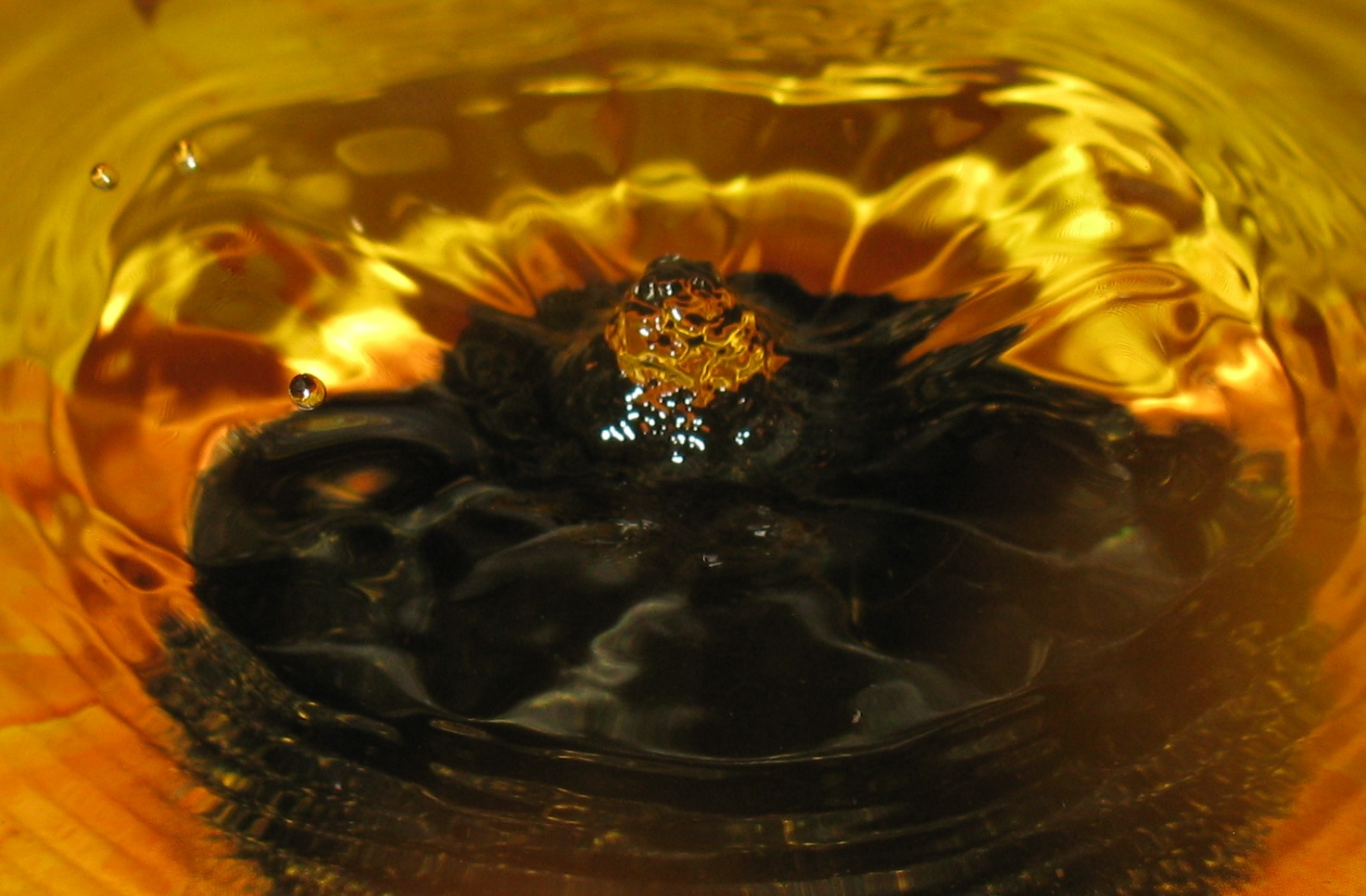06QvD