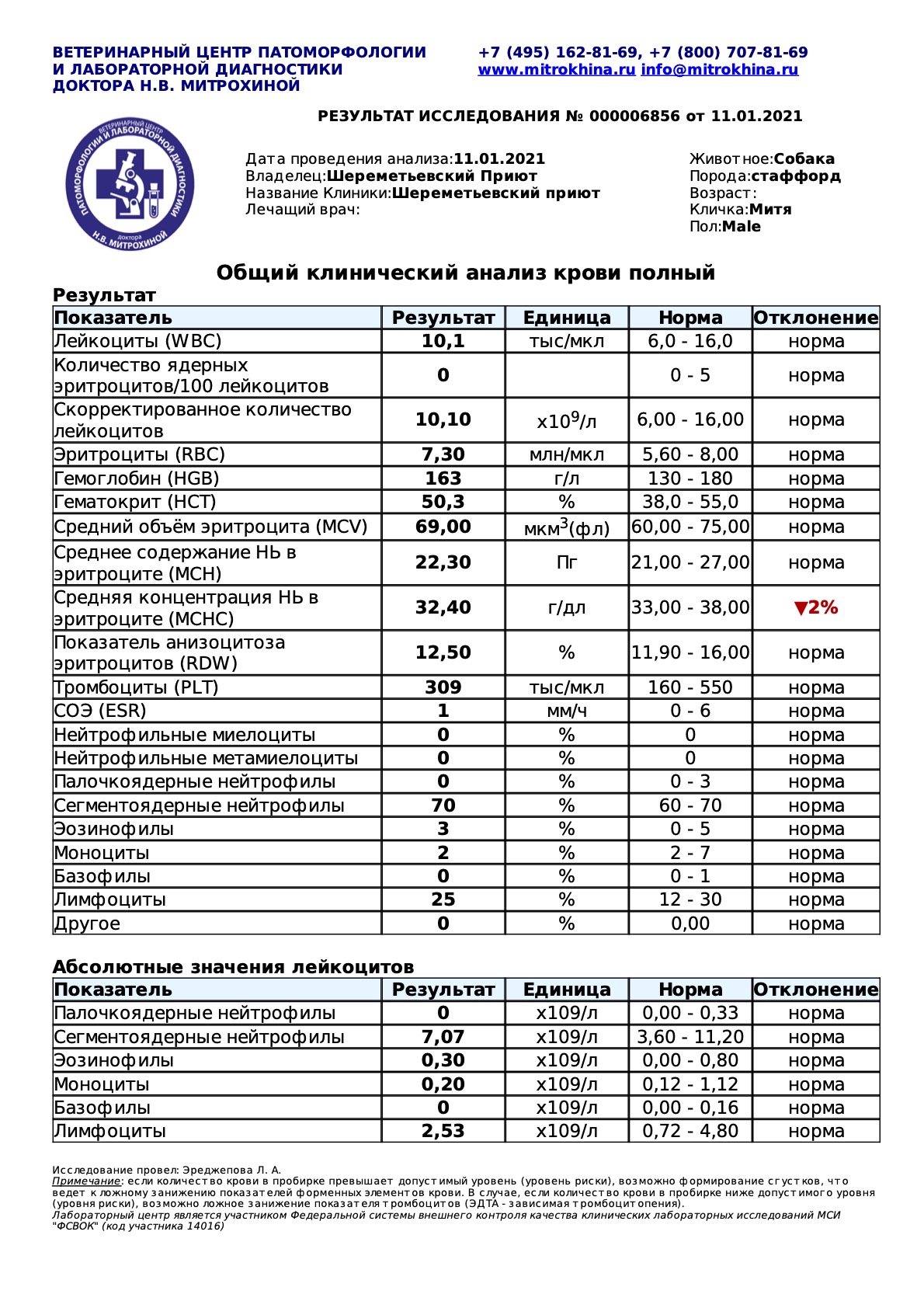 митя
