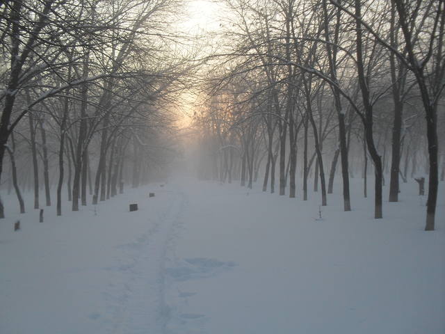 VFL.RU - ваш фотохостинг