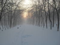 VFL.RU - ваш фотохостинг