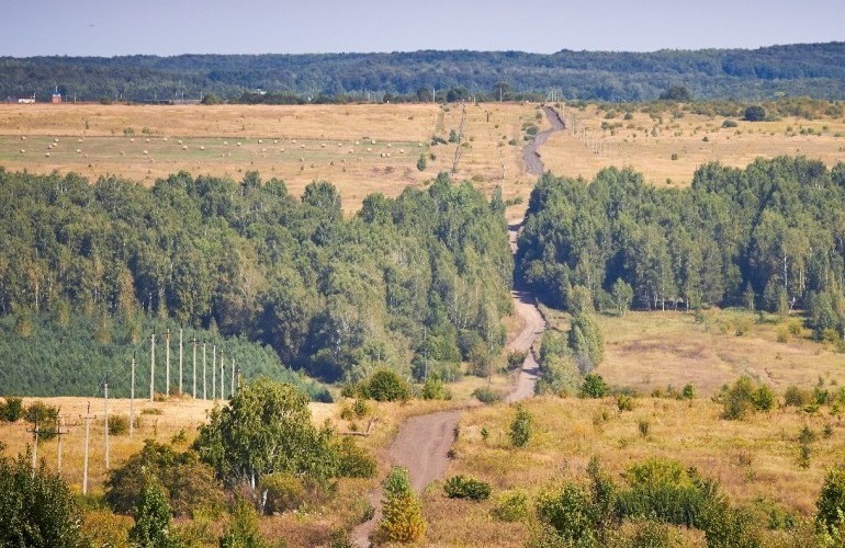 Овраг фото в природе