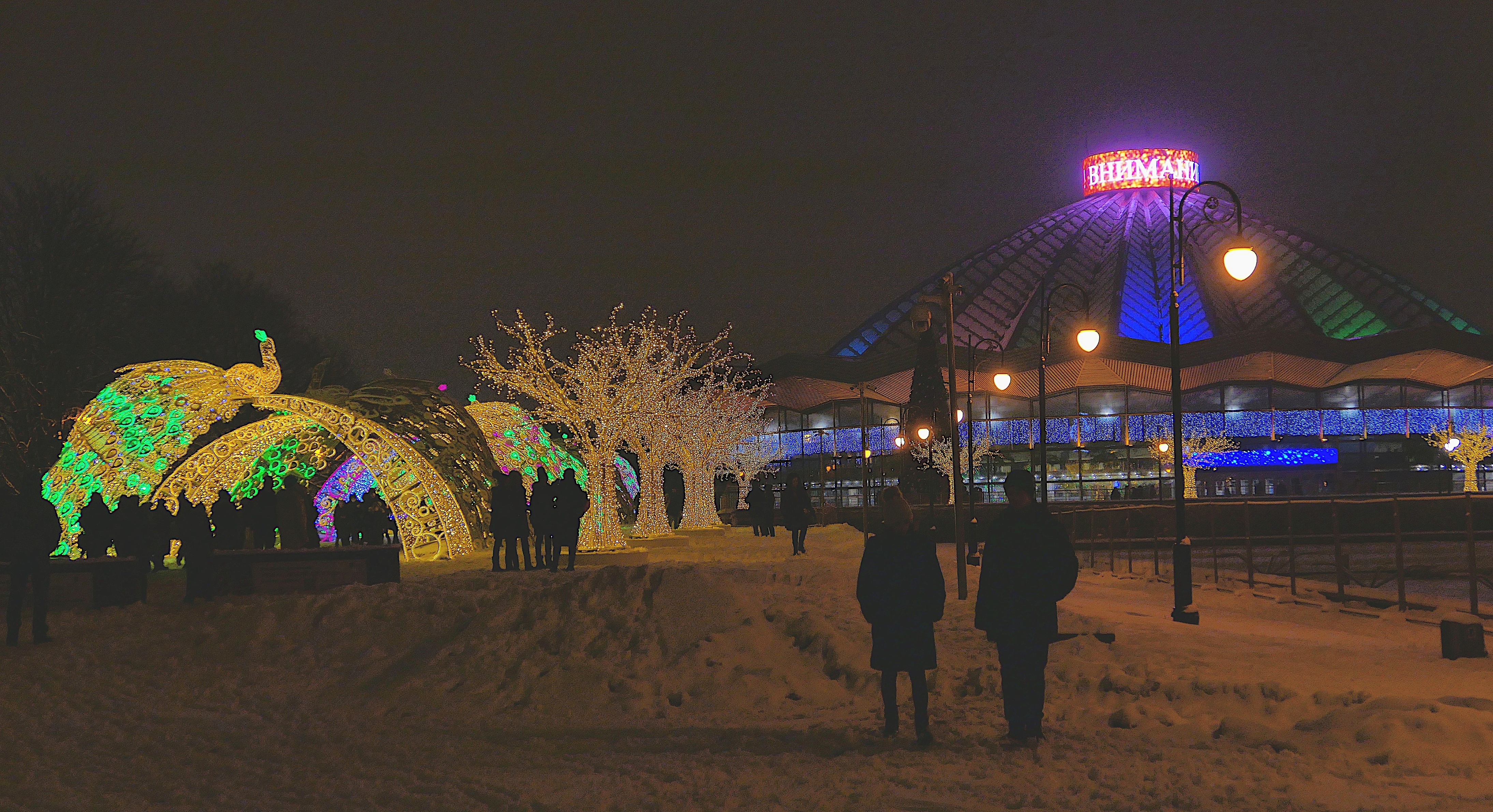 Возле цирка на пр. Вернадского. Зима 2021 г. Фото Морошкина В.В.