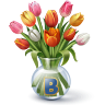 VFL.RU - ваш фотохостинг