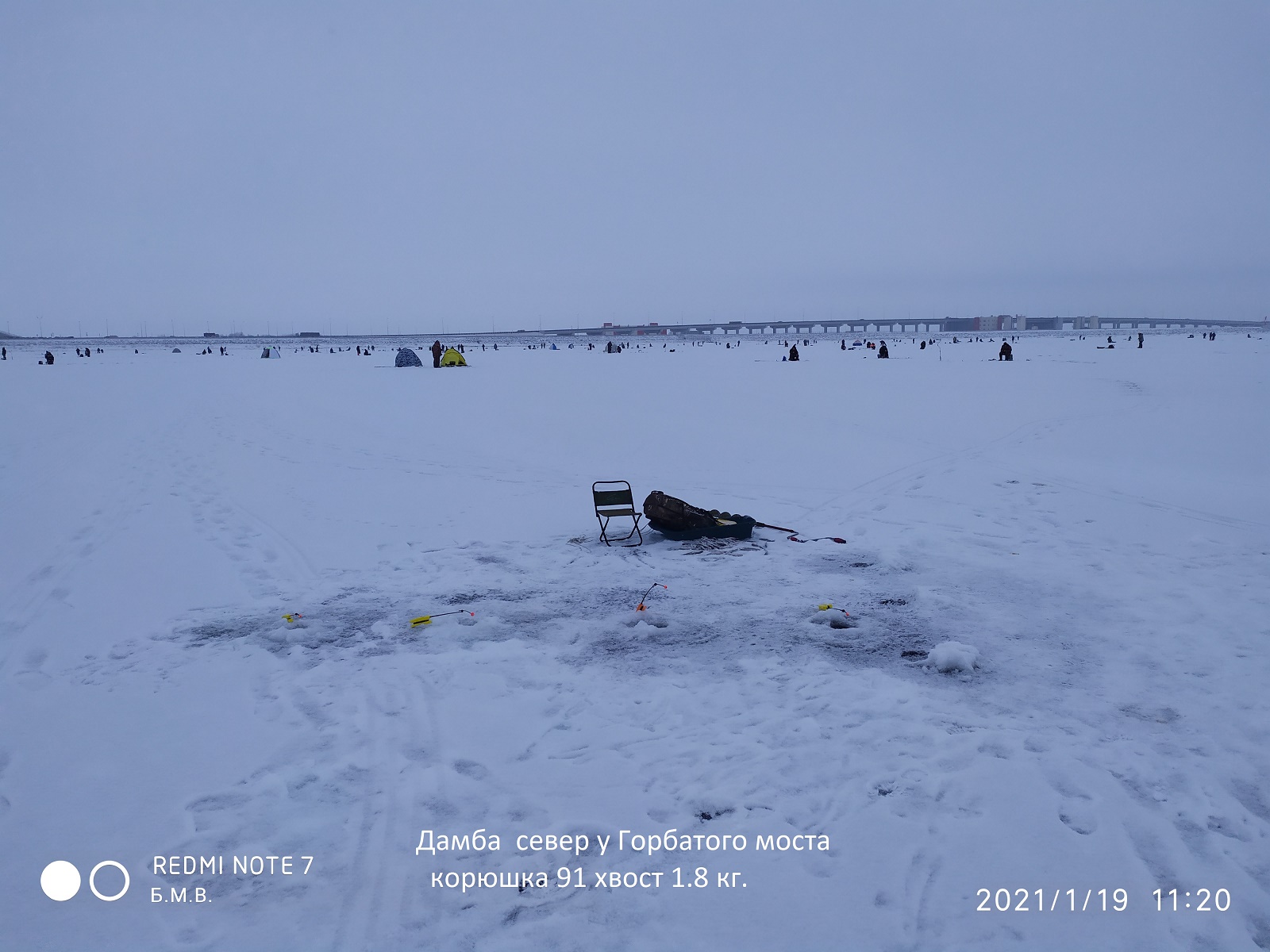 004 Дамба 19.01.2021 г. у Горбатого моста корюшка 91шт. 1.8 кг. (1)