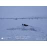 004 Дамба 19.01.2021 г. у Горбатого моста корюшка 91шт. 1.8 кг. (1)