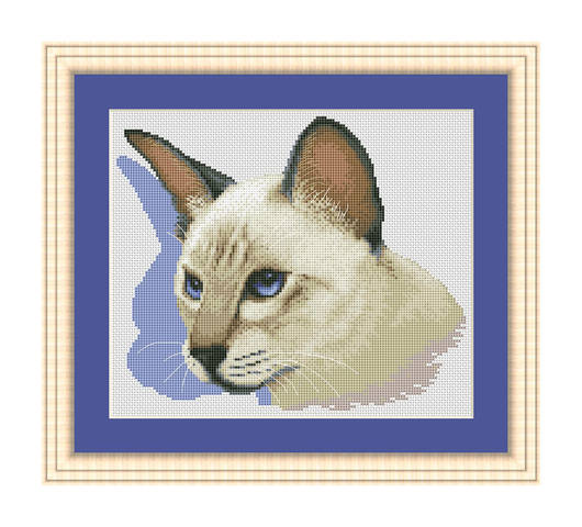 котей+++