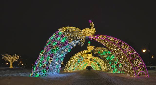 Аллея световых фигур возле цирка. Фото Морошкина В.В.