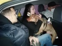 VFL.RU - ваш фотохостинг