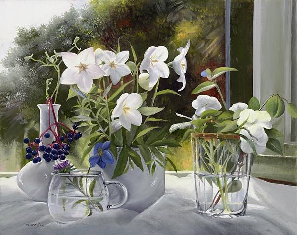 ����� �������14