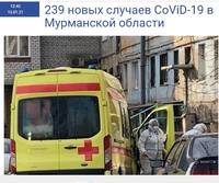мурман
