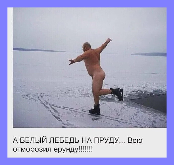 лебедь (1)